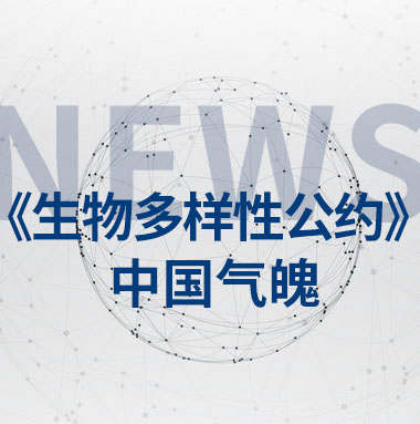 中國(guó)將大力支持發(fā)展中國(guó)家能源綠色低碳發(fā)展